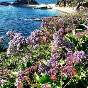 Meet your Posher, Arisa